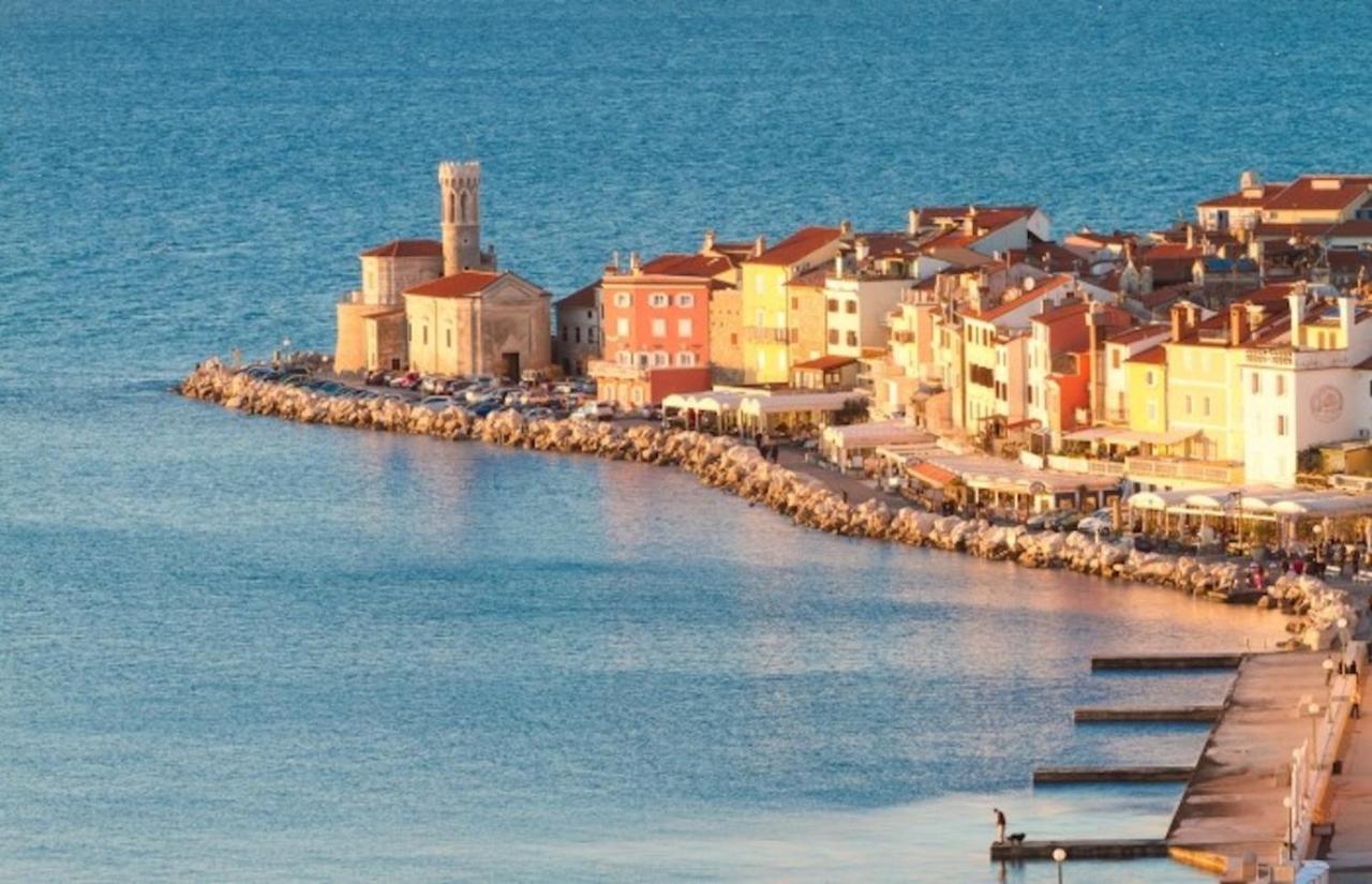 Sea View Istrian Countryside Apartment - Rota Dragonja Exteriér fotografie